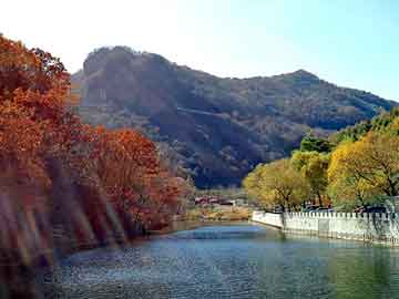 天天彩好彩天天免费，站群模板